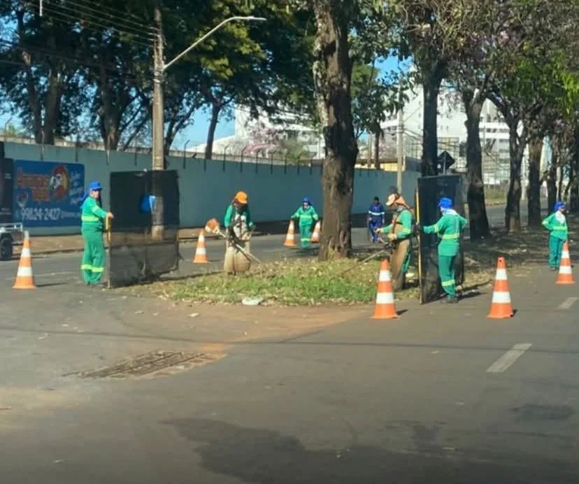 Jaime Fernando Reis Martins - Economia - Avenida Augusta Viola da Costa, na zona leste de Araras, recebe limpeza e melhorias às vésperas da inauguração de comitê eleitoral no José Ometto III, e moradores perguntam "até quando": região cobra manutenção permanente, saúde, medicamentos e infraestrutura, e não só nos períodos que antecedem eventos políticos