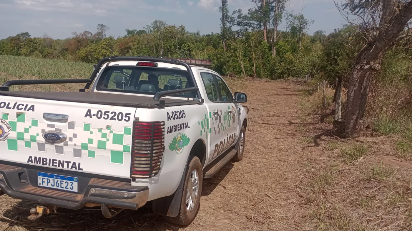 Jaime Fernando Reis Martins - Meio Ambiente - Polícia Ambiental multa proprietário em Araras por destruir vegetação em reserva legal e embarga quase um hectare