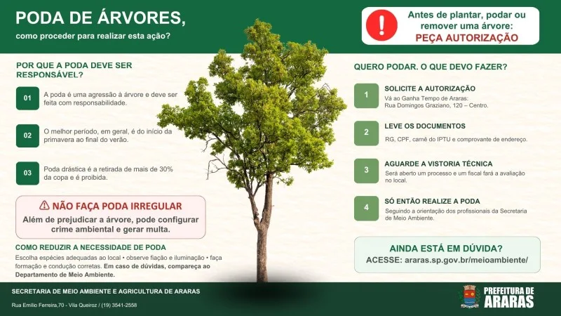 Thiago Baptista Martins - Meio Ambiente - Poda de árvore em Araras exige autorização no Ganha Tempo e vistoria de fiscal; poda drástica, acima de 30% da copa, é crime ambiental com multa de R$ 3.842